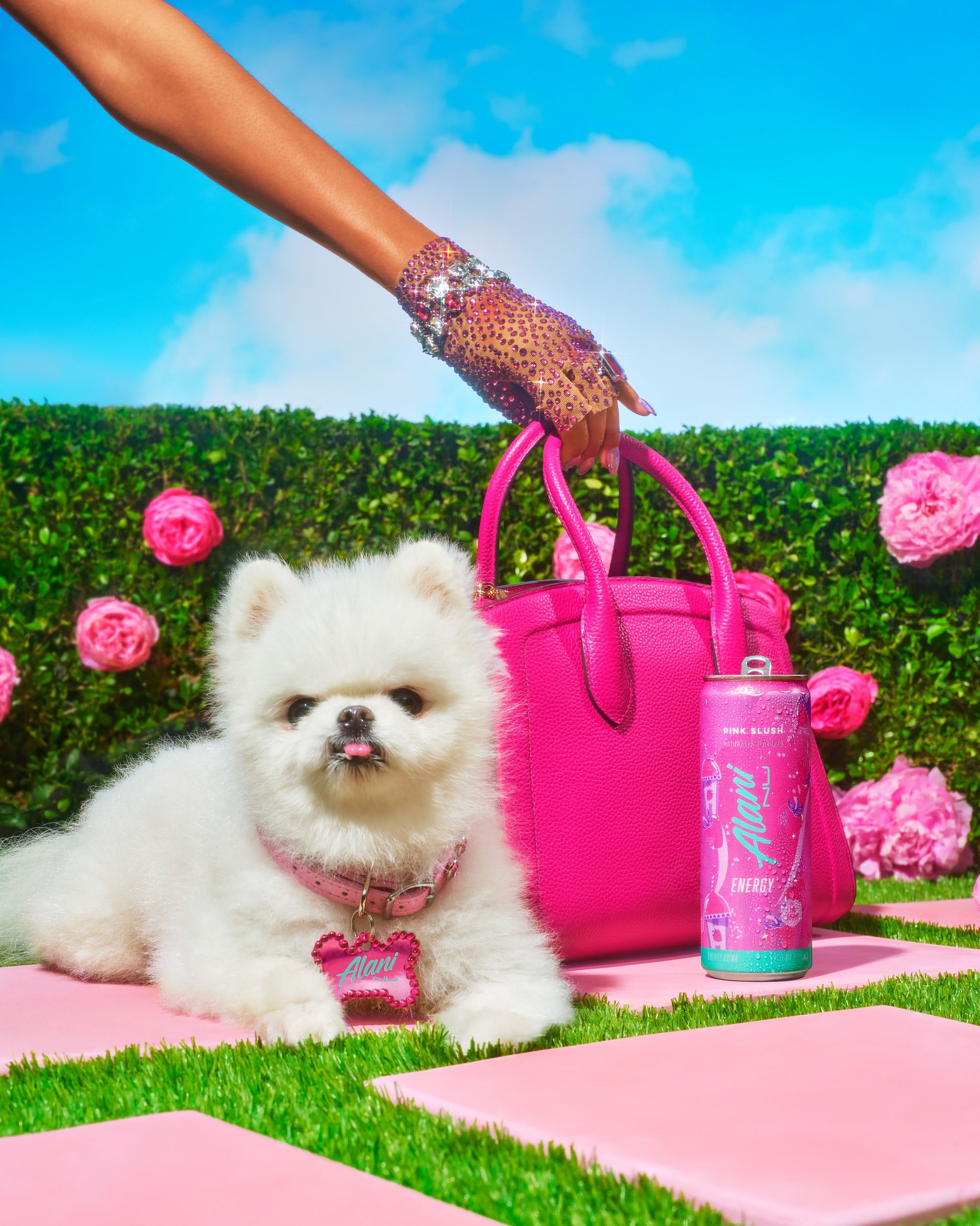 Energy Drink - Pink Slush